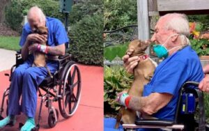 Chihuahua si ricongiunge con il suo papà umano dopo avergli salvato la vita