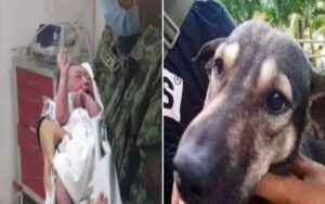 Bambino abbandonato in una discarica viene salvato da un cane
