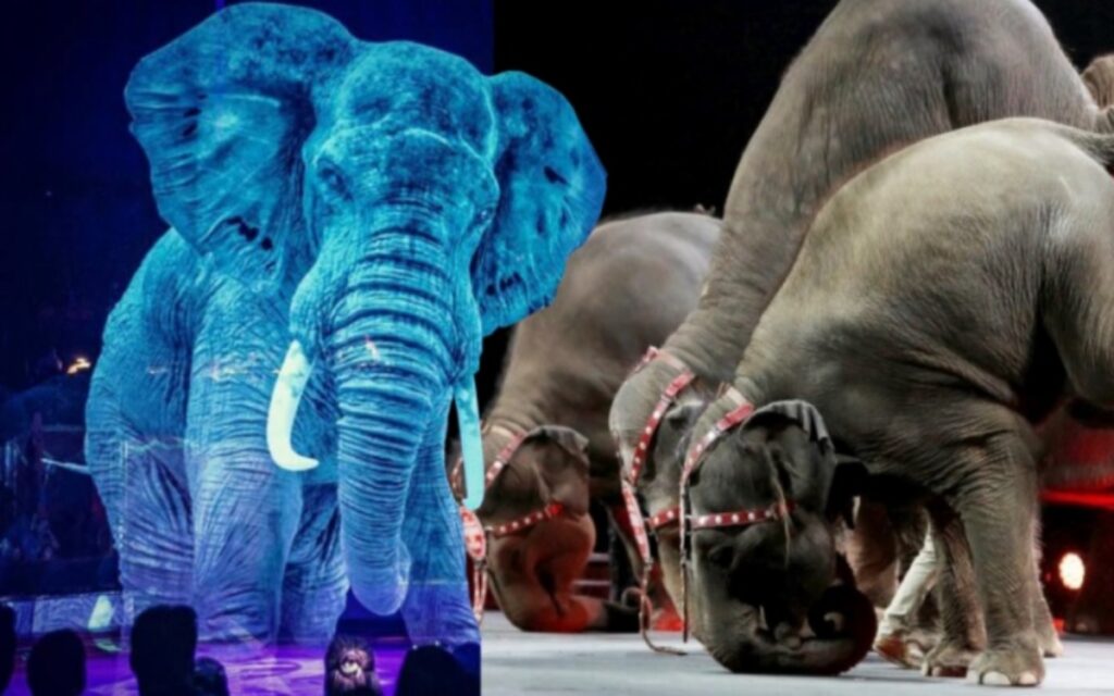  circo sostituisce gli animali con dei bellissimi ologrammi