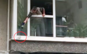 VIDEO: uomo scalda una colomba tremante fuori dalla sua finestra