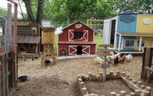 Uomo costruisce una mini-città per le galline di sua moglie