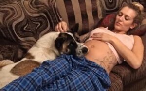Cane annusa la pancia della mamma e comincia ad abbaiare: le ha salvato la vita