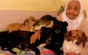 Eroi invisibili: Una nonnina ha salvato centinaia di cani e gatti