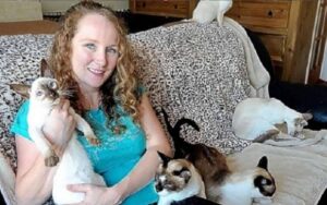La donna aveva riempito la casa di gatti, 35 in tutto. L’ultimatum del marito: ” io o i gatti”
