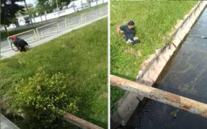 VIDEO: Uomo si alza dalla sedia a rotelle e salva un gattino che stava per annegare