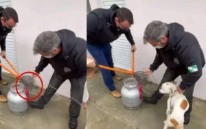 VIDEO: cane legato a una bombola di gas non smette di abbracciare il suo soccorritore
