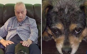 Cucciolo trova un uomo cieco scivolato a terra: grazie al suo abbaiare gli ha salvato la vita