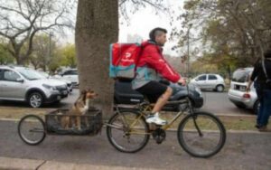 Fattorino porta sempre a lavoro con sé il suo fedelissimo cane