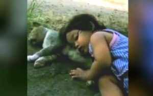 Una madre torna a casa e trova la figlia addormentata sul gattino che giaceva immobile