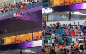 VIDEO: Gatto rimane appeso e cade dagli spalti durante una partita