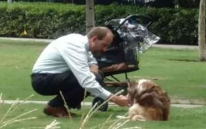 Lui pensa che nessuno lo guarda quando si china verso il vecchio cane