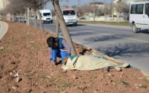 Bambino rifugiato aiuta un povero cane investito da un auto