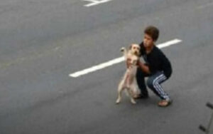 Bambino rischia la sua vita per salvare un cane in autostrada. Vi raccontiamo l’intera vicenda