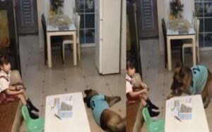 VIDEO: Cane avverte la bambina quando sta per tornare suo padre, così che possa spegnere la tv e fare i compiti