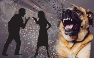 Confermato, i cani rilevano il male nelle persone