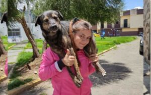 “Così si salva un cane” dice una donna dopo che le avevano negato l’adozione