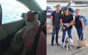 Vendono tutto per permettere al cane di viaggiare e trasferirsi in Svizzera, noleggiando un aereo