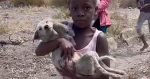 Bambina trovata mentre chiedeva un disperato aiuto per il suo cane malato