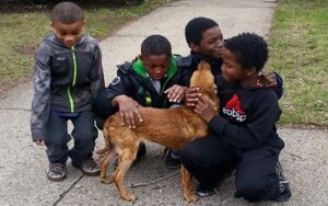 Cane abbandonato legato nel cortile, senza acqua e cibo. Salvato da 4 piccoli eroi