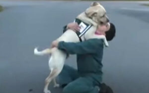 Il veterano ha portato il cane all’interno della prigione