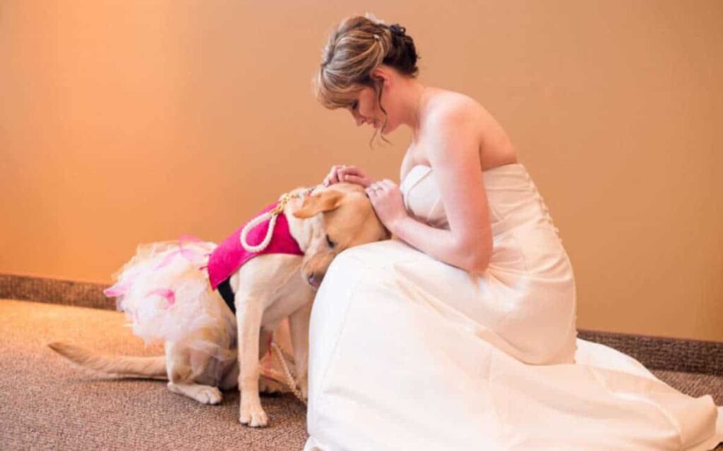 Dietro a questa foto di una sposa e il cane  ci sono cose che molti non sanno e che vanno raccontate!
