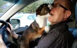 VIDEO: Cane esplode di gioia quando scopre dove lo sta portando il suo proprietario