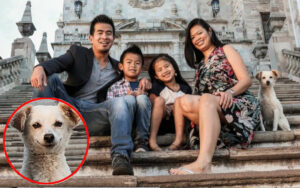Cucciolo randagio si “intrufola” in un servizio fotografico di una famiglia in vacanza