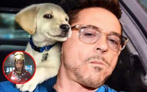 L’attore di Iron Man, confessa che ora non può vivere senza gli animali che ha salvato