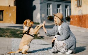 Sei ossessionato dal tuo cane?