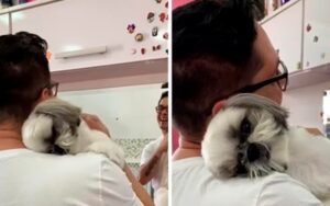 Cucciolo ricambia gli abbracci del suo parrucchiere, il video diventa virale