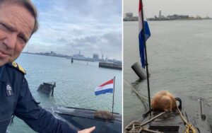 Tricheco usa un sottomarino olandese per fare i suoi pisolini. Gli ufficiali sono d’accordo