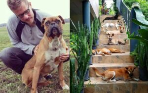 Muore il loro cane e adottano 15 cuccioli in suo onore (VIDEO)