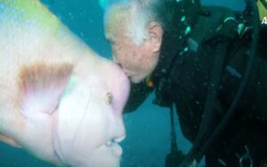 Per 30 anni scende nel profondo blu e va da lui. Il pesce lo guarda e si china, chiedendogli un bacio