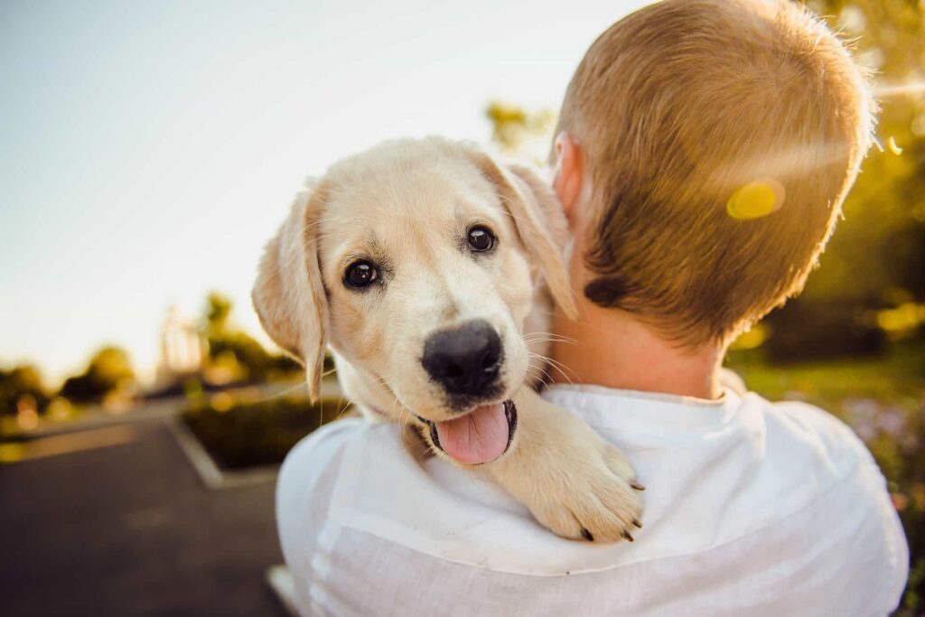 Parli con il tuo cane o gatto? cosa hanno scoperto gli scienziati!