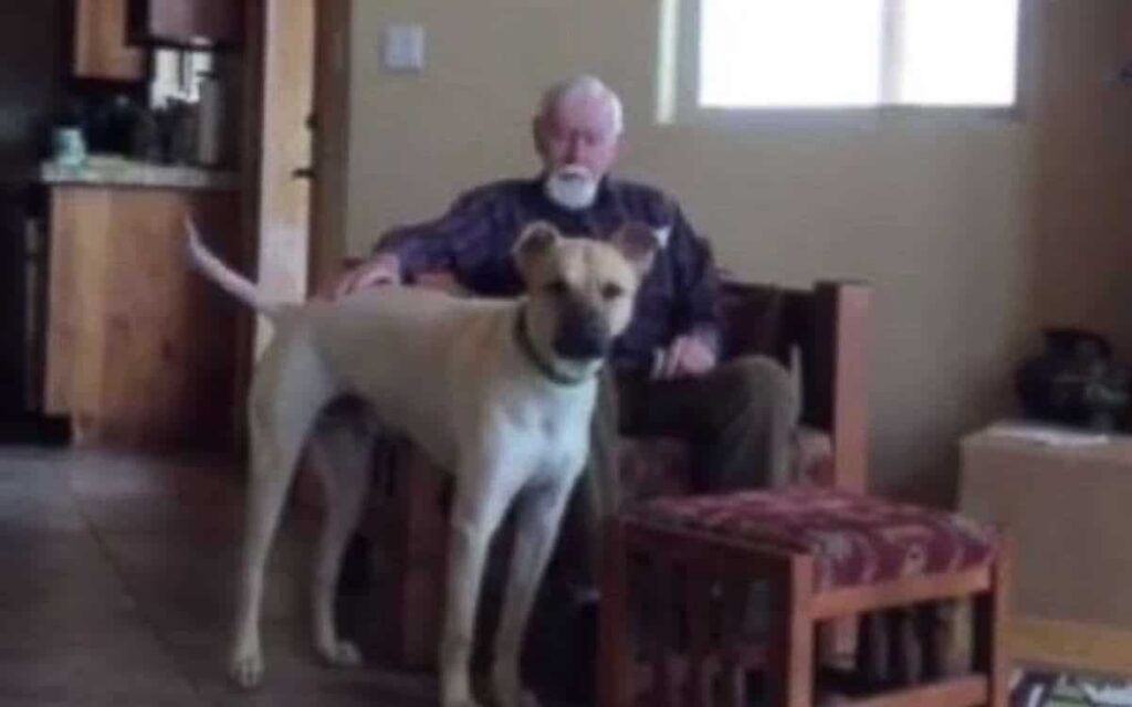 Papà con Alzheimer riprende brevemente la parola con il cane di famiglia