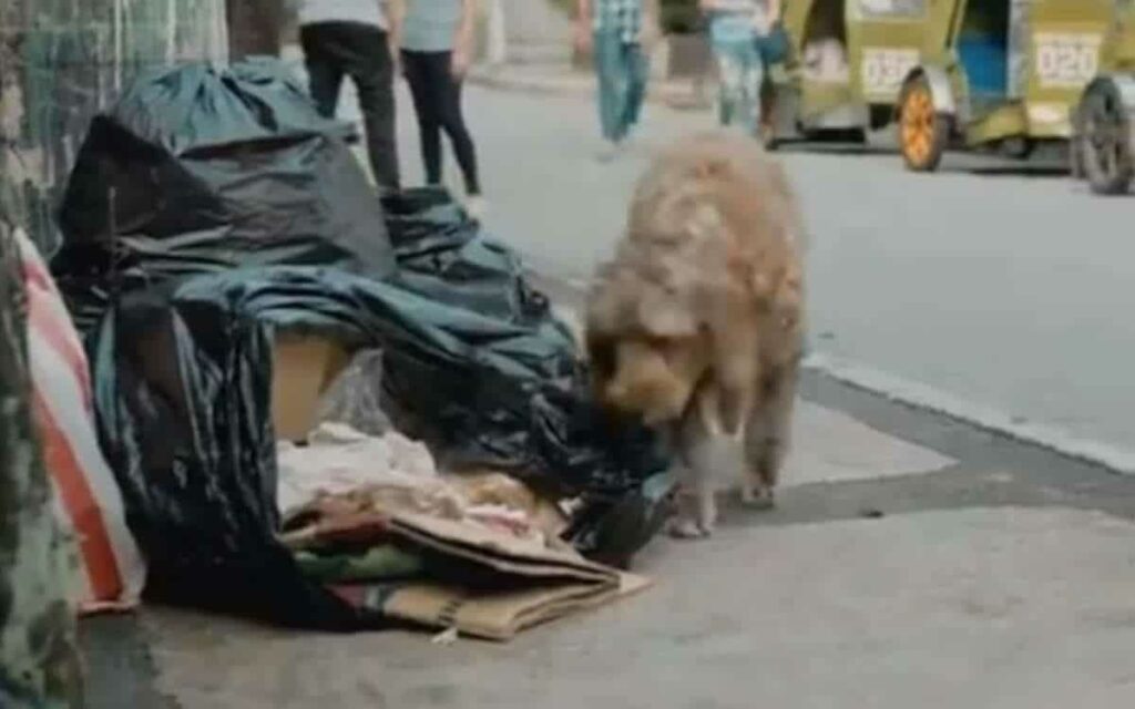 L’uomo si sentiva terribilmente solo e sapeva che lo aspettava un triste Natale da solo.