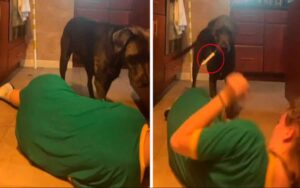 La padrona fa finta di svenire e il cane la sveglia spaventandola (VIDEO)