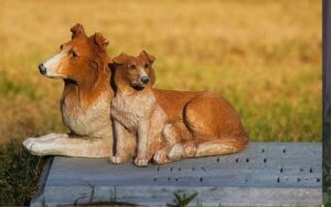 A New York gli animali domestici vengono sepolti vicino ai proprietari