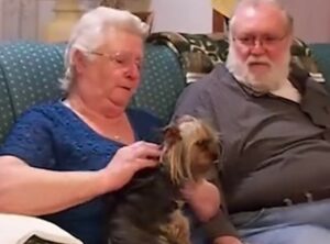 Un cucciolo di Yorkshire è un regalo che rende felice una dolce nonnina (VIDEO)