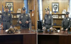 Cucciolo di poliziotto dorme durante la sua cerimonia di giuramento (VIDEO)