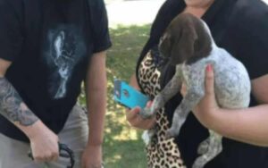 Un veterano che aveva avuto un ictus a 25 anni va in un rifugio per adottare un cane.