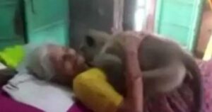 VIDEO: Scimmia fa visita alla signora che gli dava da mangiare e l’abbraccia