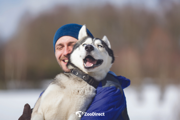 uomo e cane