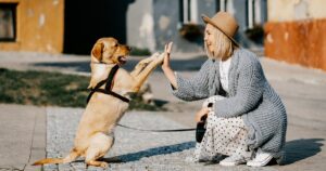 Perché alcune persone si preoccupano degli animali più di altri umani?