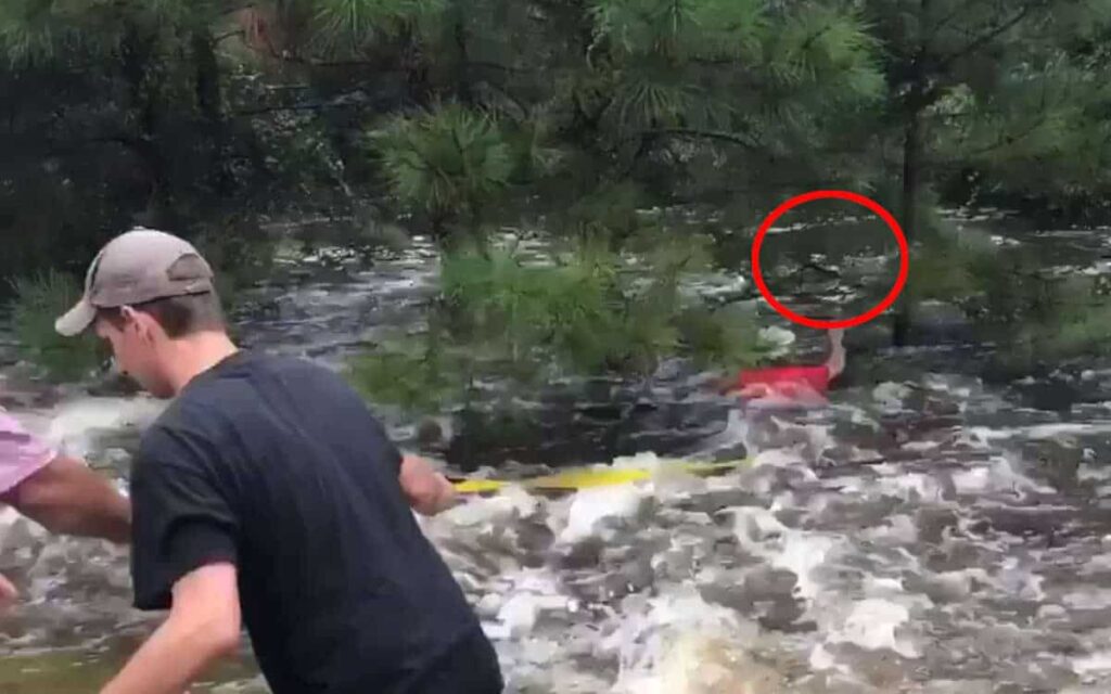 Il cane stava annegando quando questi ragazzi si sono accorti di lui.