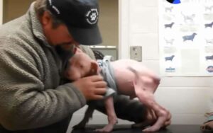 Uomo torna alla clinica veterinaria per adottare il cucciolo di cane che ha salvato