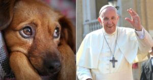 Papa Francesco si esprime sulla questione animali e figli