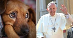 Papa Francesco si rammarica con i giovani: gli animali sostituiscano i bambini