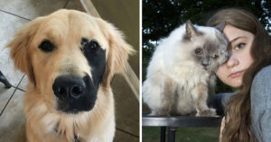 15 cuccioli animali nati con caratteristiche distintive e rare