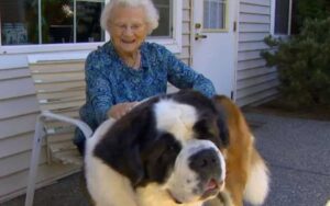 Cucciolo di cane incontra una 95enne sono inseparabili, la loro storia particolare